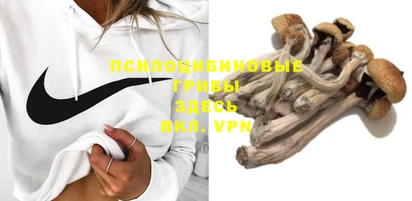 PSILOCYBIN Сафоново