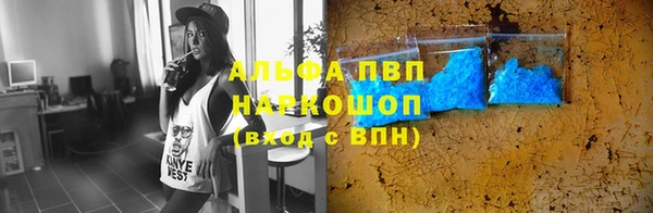 PSILOCYBIN Сафоново