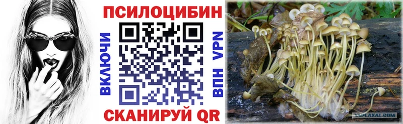 Галлюциногенные грибы Magic Shrooms  купить наркотики сайты  Камень-на-Оби 