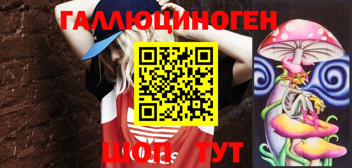 Псилоцибиновые грибы прущие грибы Камень-на-Оби