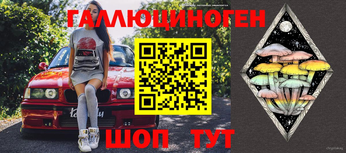 где купить наркоту  Псилоцибиновые грибы мицелий  Вход с VPN  Камень-на-Оби 