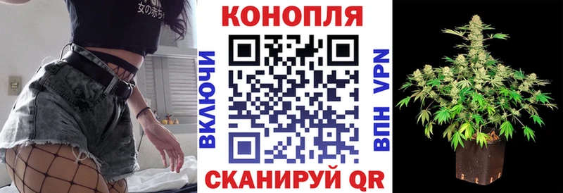 ссылка на мегу tor  Камень-на-Оби  Шишки марихуана план  магазин продажи  